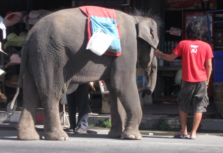 Urlaub-2011-Thailand-090