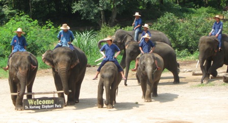 Urlaub-2011-Thailand-310