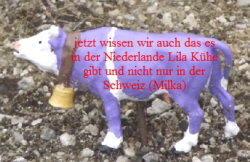 jetzt wissen wir auch das es
in der Niederlande Lila Khe
gibt und nicht nur in der
Schweiz (Milka)